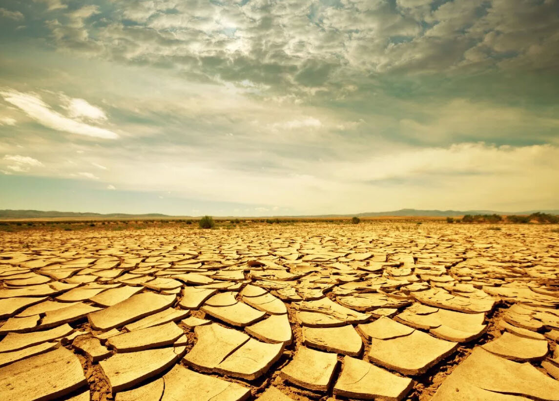 Край обетованный