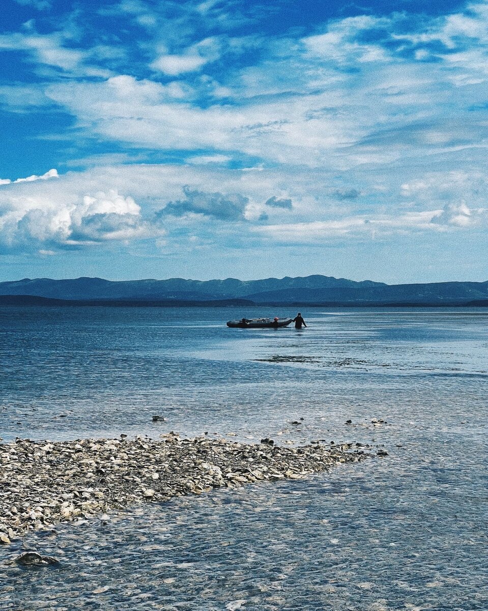 Эти камушки на переднем плане - устрицы бывшие и настоящие. 