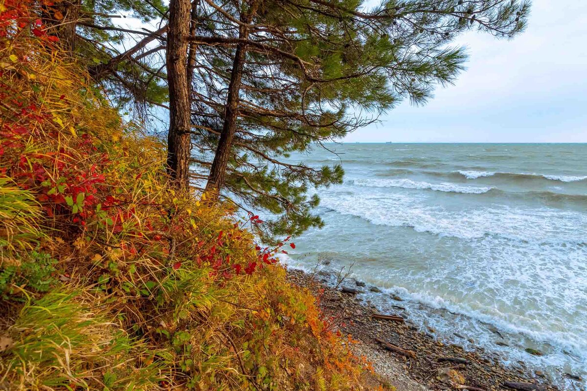    В декабре снег на черноморском побережье — редкое явление.Фото: vk.com/moytuapse