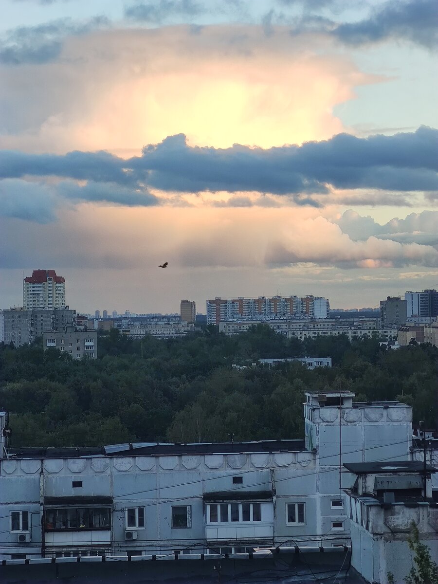 над панельками