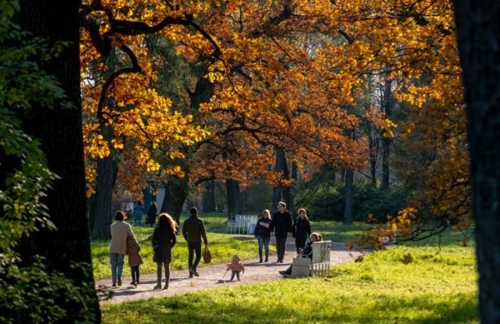    Олег Золото / MR7