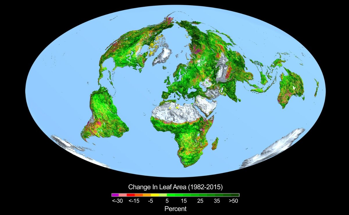 Данные спутниковых снимков (наблюдений) с 1982 по 2010 годы показывают увеличение площади зелёных покровов в засушливых районах Африки, Австралии, Северной Америки и Ближнего Востока.