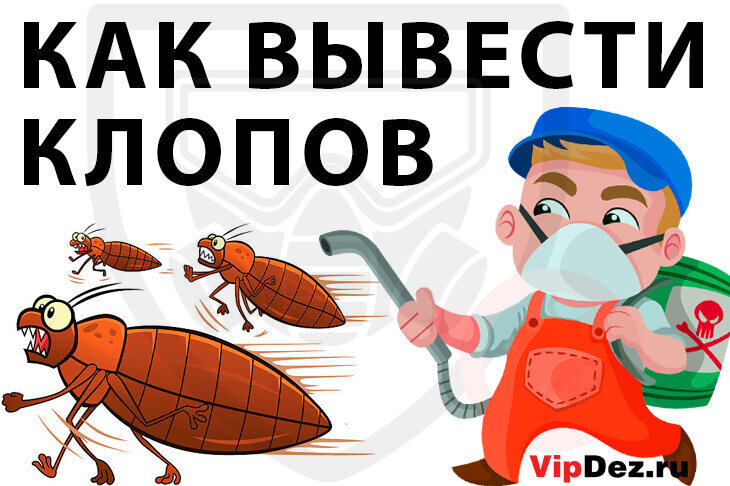 Как вывести копов самостоятельно❓ Советы экспертов❗