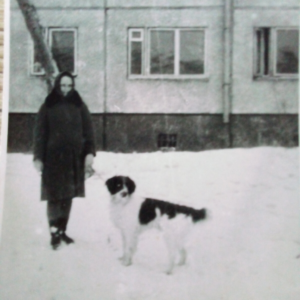 Мой любимый Кузенька с моей мамой.