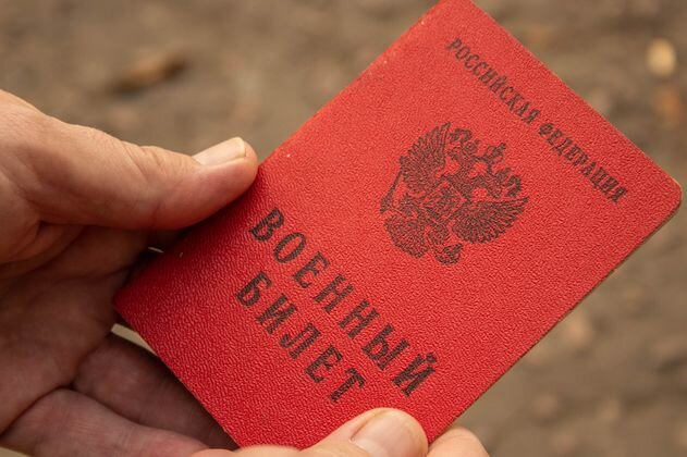    Военный билет Анна Рыжкова (с) ИА REGNUM