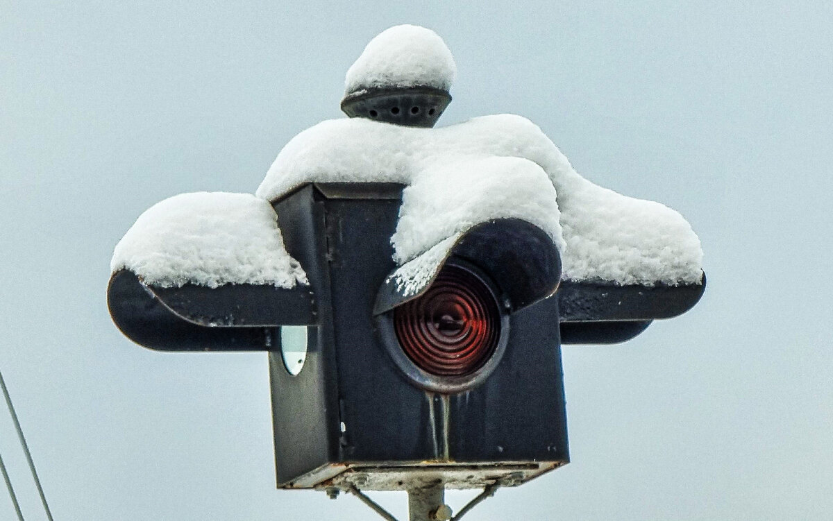 Фото: Алексей Алексеев
