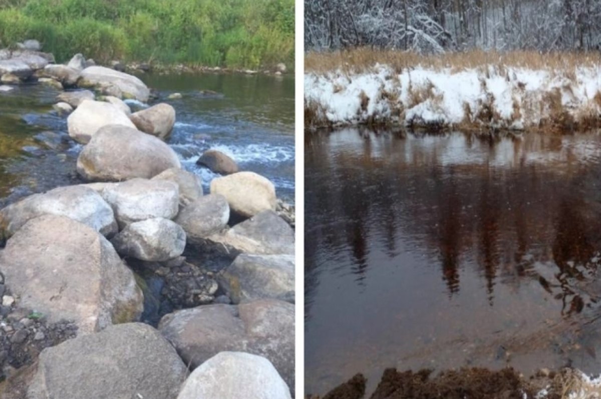    Из-за искусственной плотины в Тверской области пересохла река Логовежь