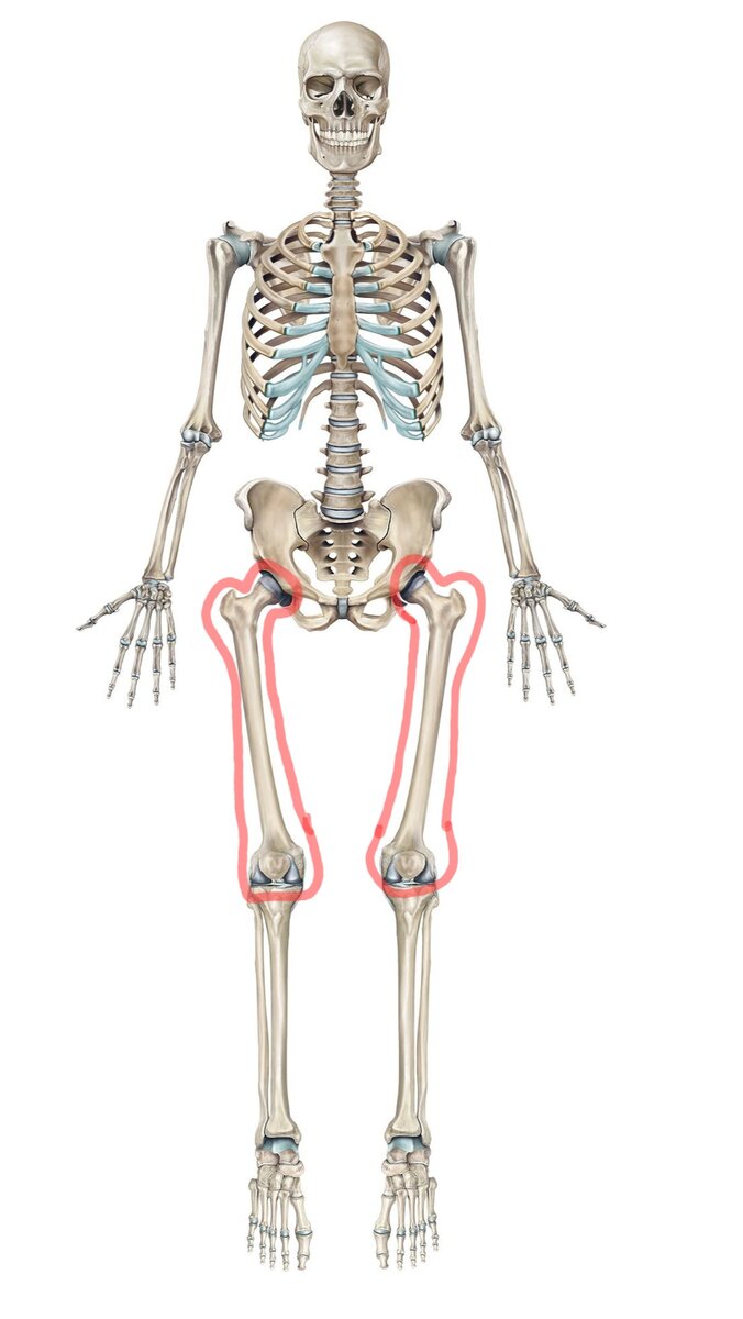 Переломы костей голени - Клиника 29