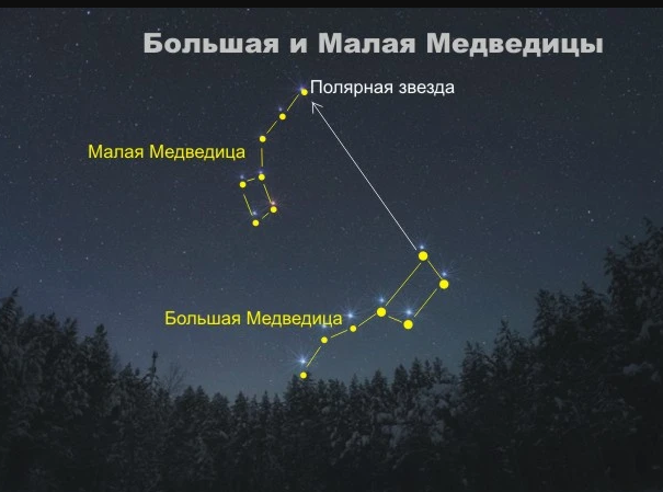 Большая медведица созвездие. Полярная звезда на ночном небе. Расположение большой и малой медведицы на звездном небе. Фото маленькой медведицы. Большая медведица созвездие на небе.