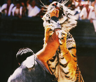 Сон гладиатора. Стихи. 