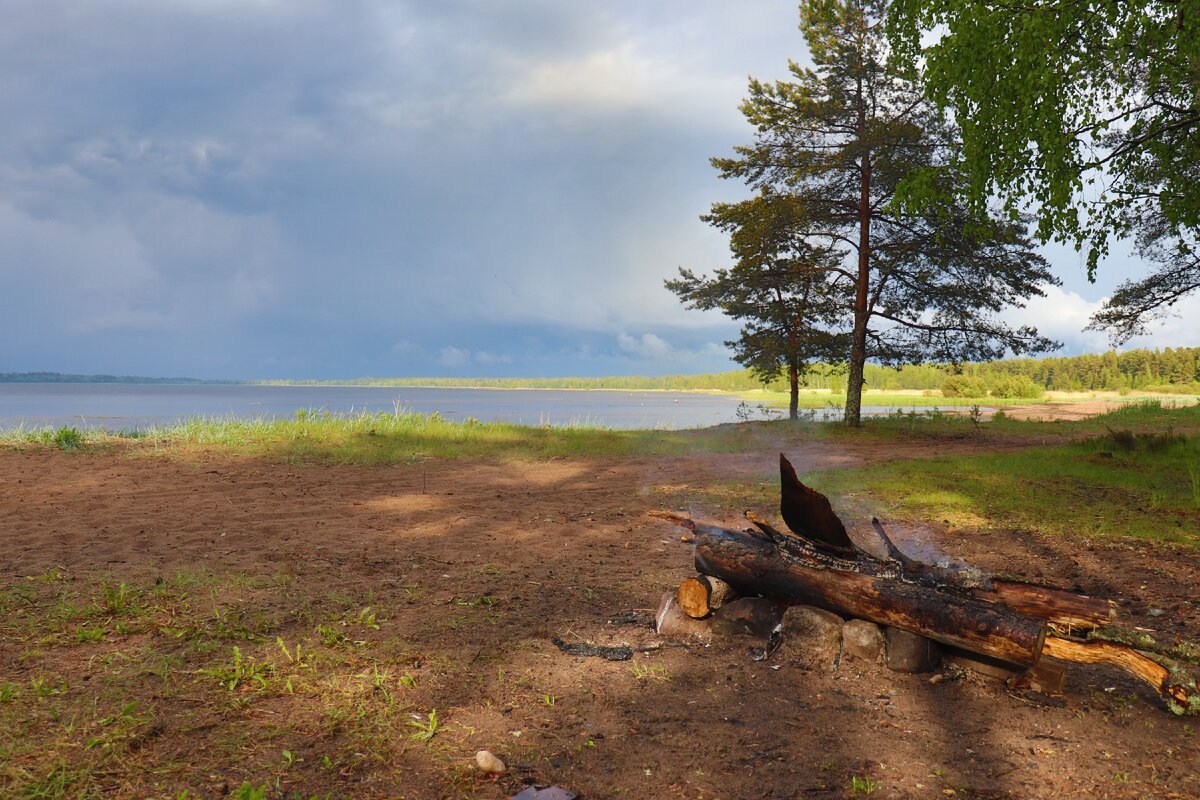 Пляж на берегу Копорской губы