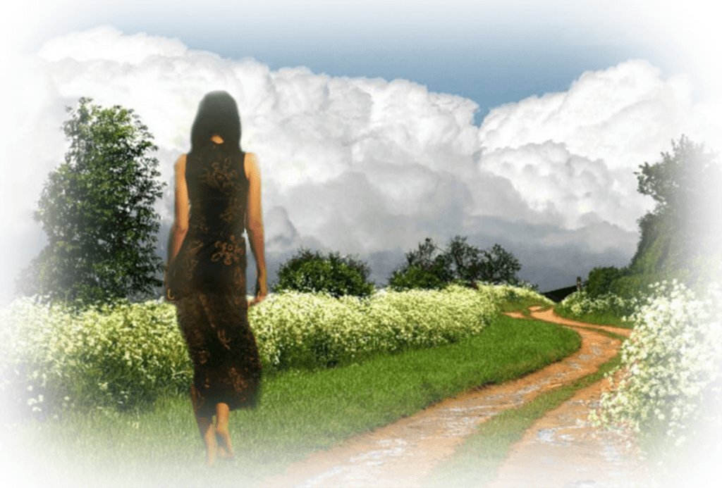 Изображение взято из интернета, в свободном доступе