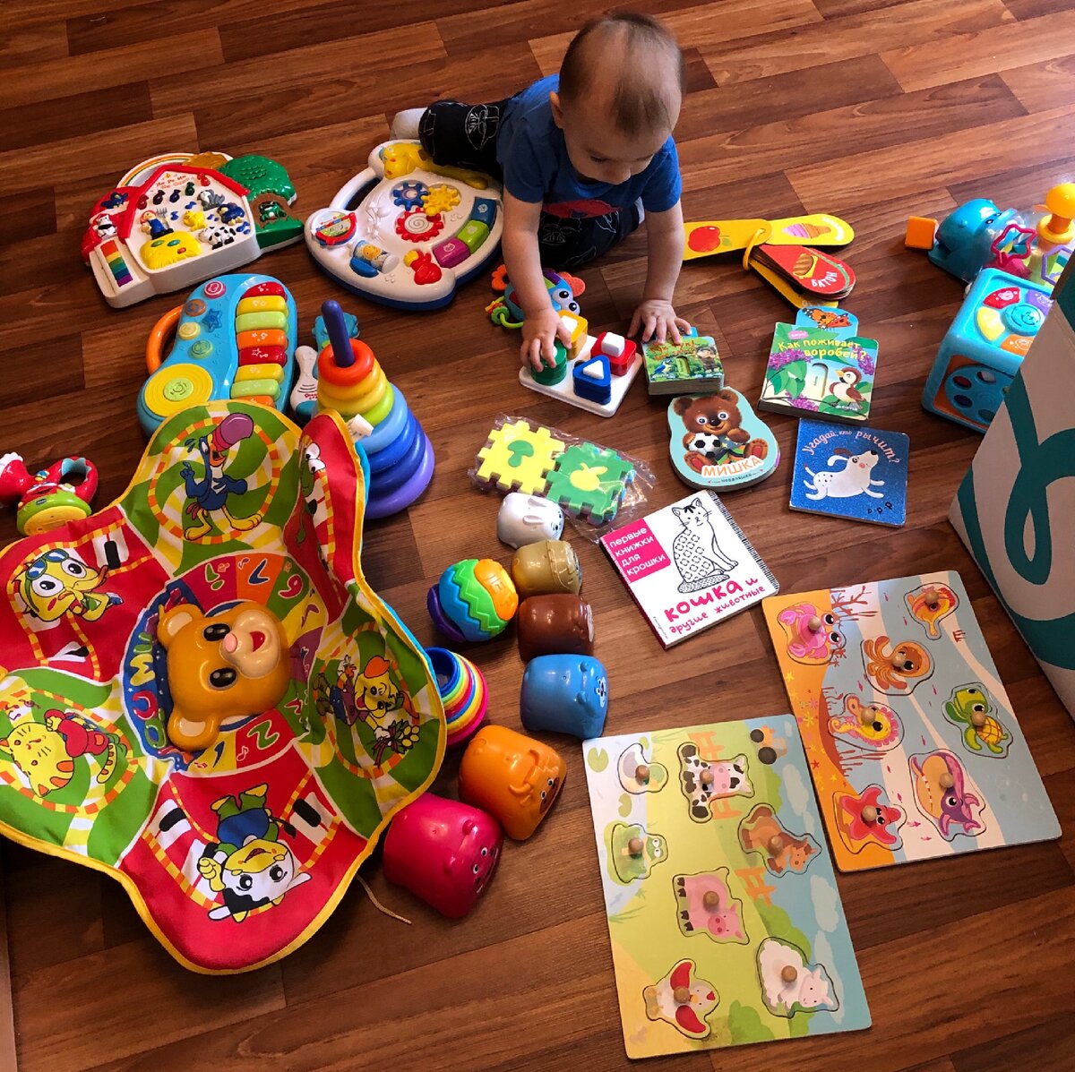 Какие игрушки играла. Какие игрушки. Выгодные игрушки. Дети играют в игрушки. Игрушки для ребенка 9-10-11 месяцев