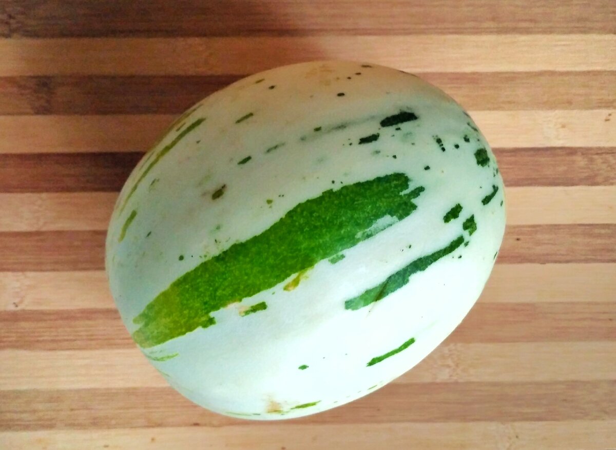 Вот так выглядит дыня далматинец, почти белая кожура с зелеными пятнами