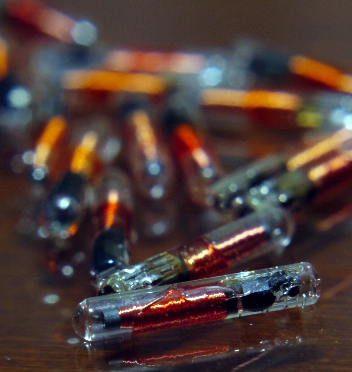 Микрочипы для имплантации / © AP Photo / Steve Mitchell