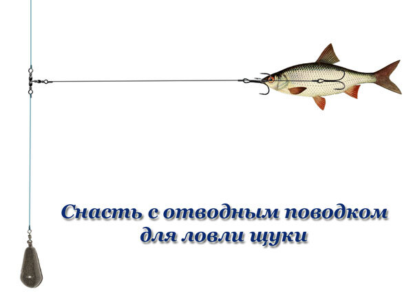 Можно ли ловить щуку в январе в России: советы и рекомендации