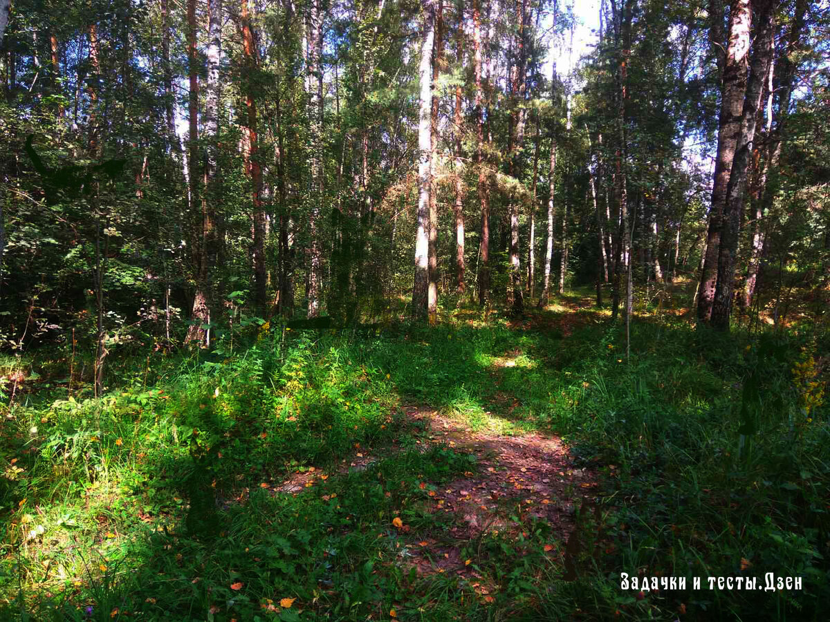 Источник: авторское фото из личного архива