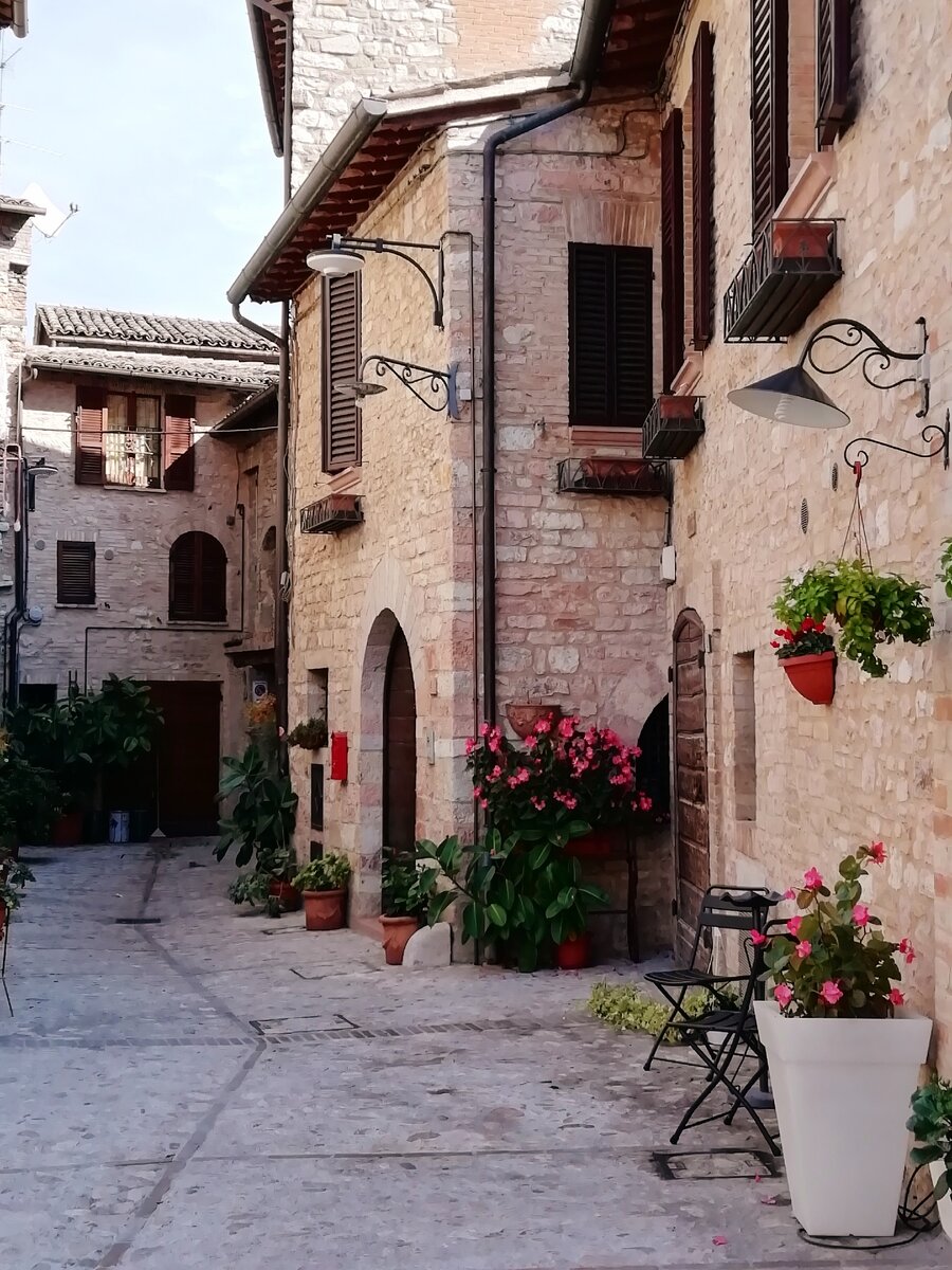 Все улицы украшены цветами