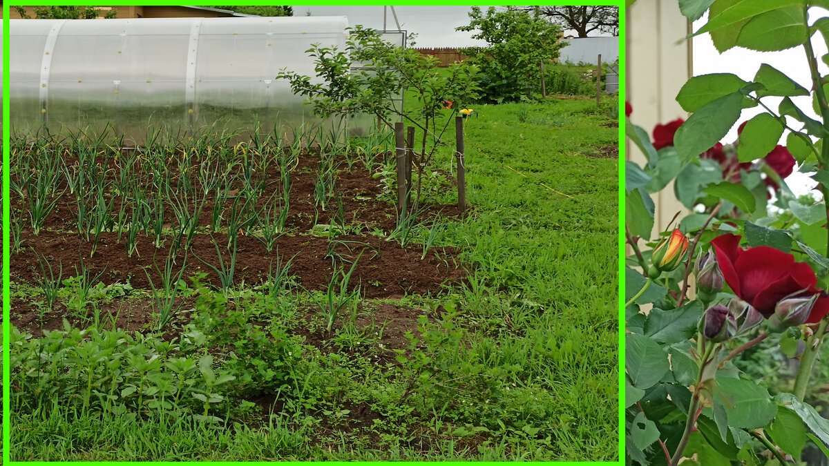 Ставьте "класс" и подписывайтесь на канал!