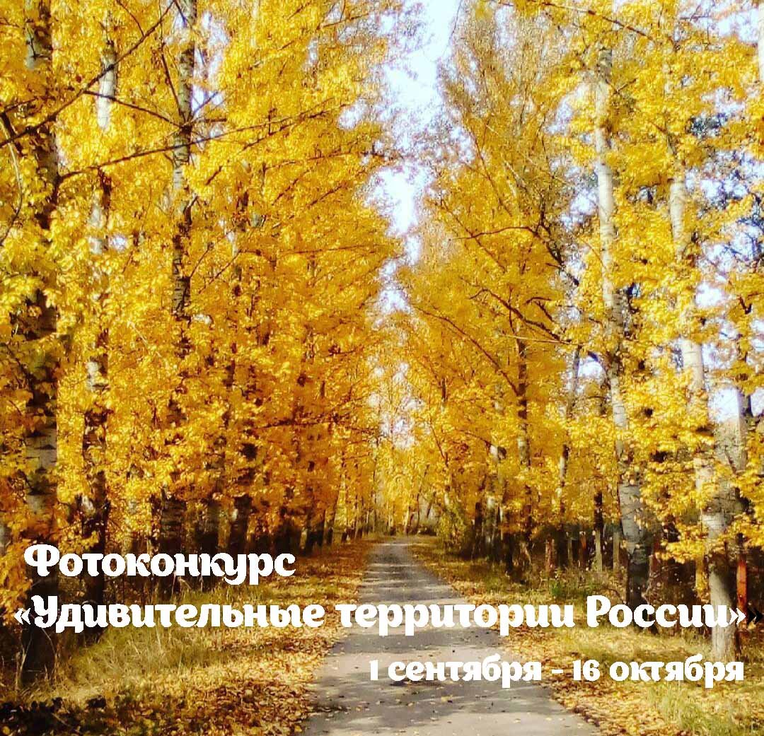 Природа в городе фотоконкурс