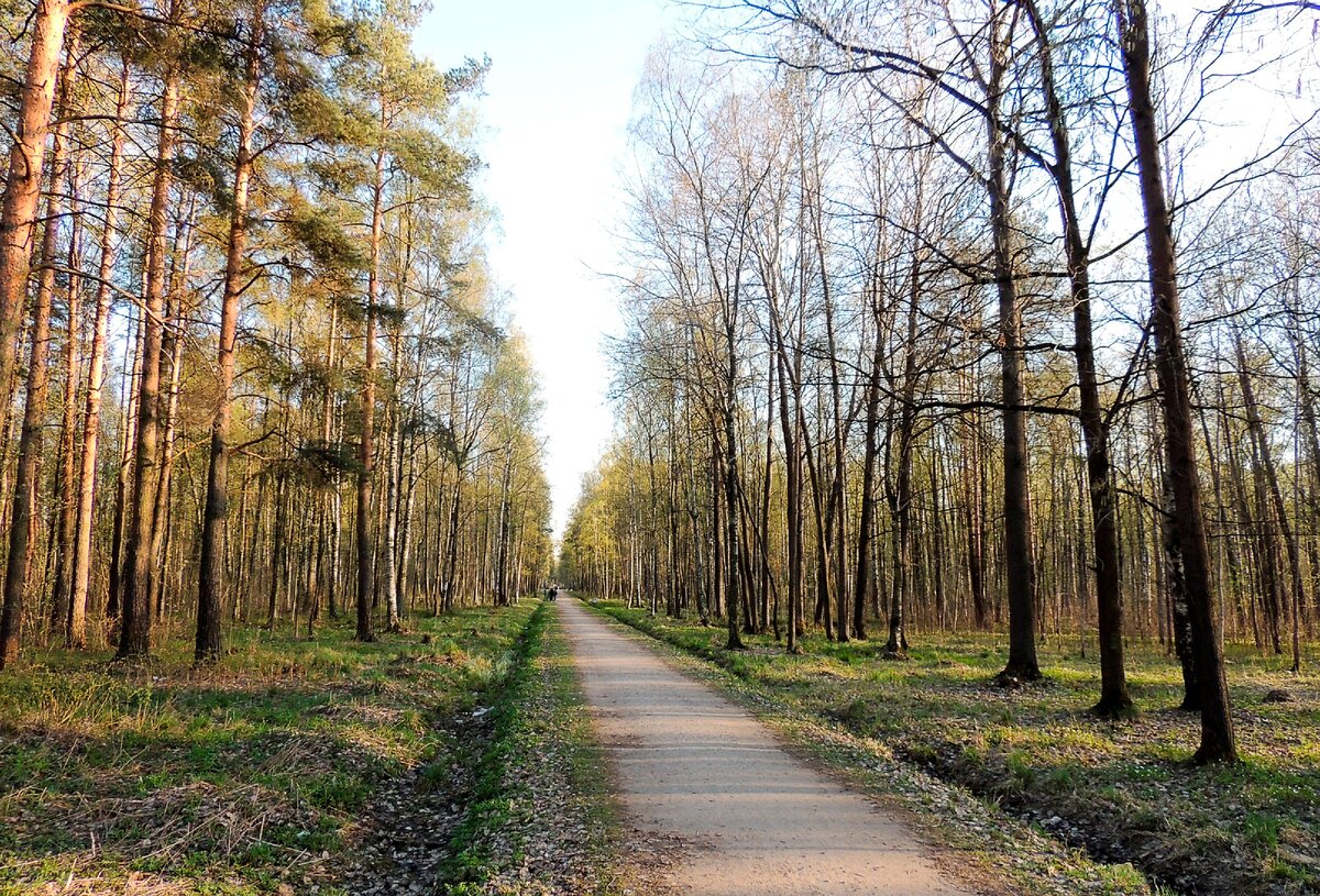 Парк полежаевский фото