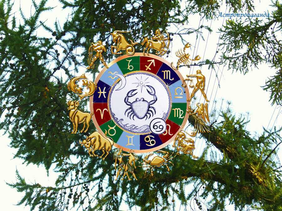 Коллаж Нины Стрелковой.