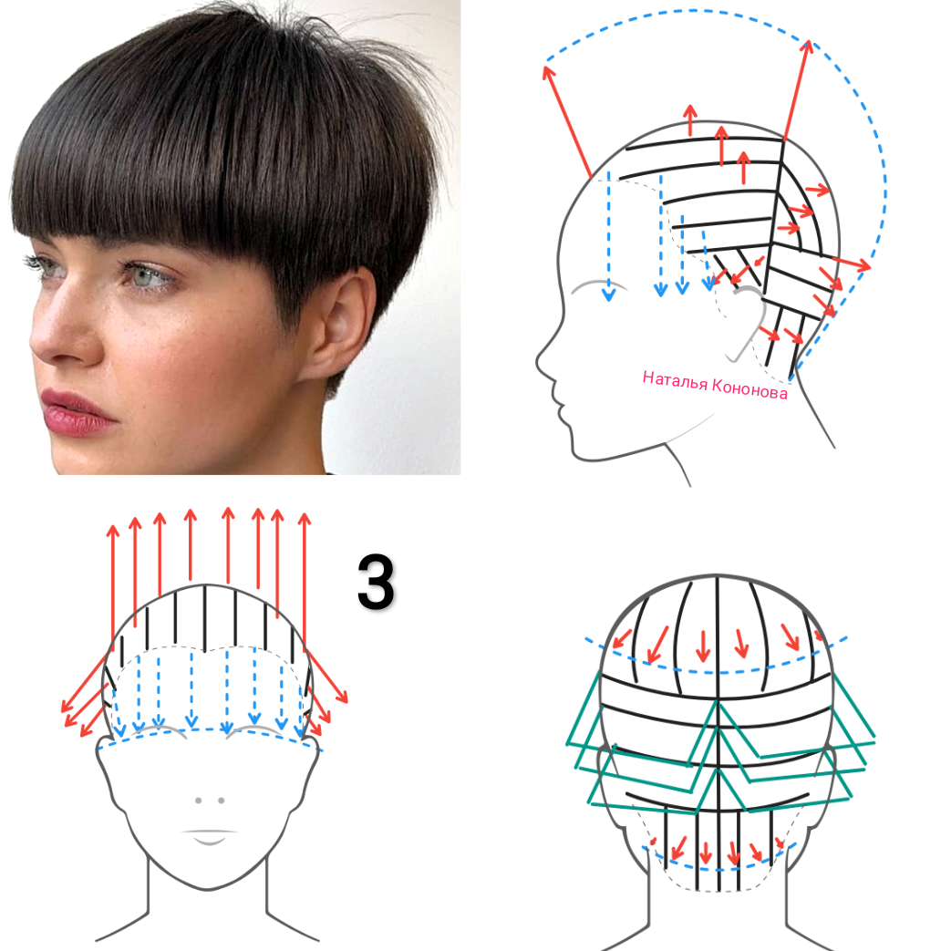 Схема стрижки шапочки. Схема стрижки шапочка женская. Стрижка шапочка схема выполнения. Схема стрижки шапочка женская на короткие волосы. Женская стрижка шапочка технология.
