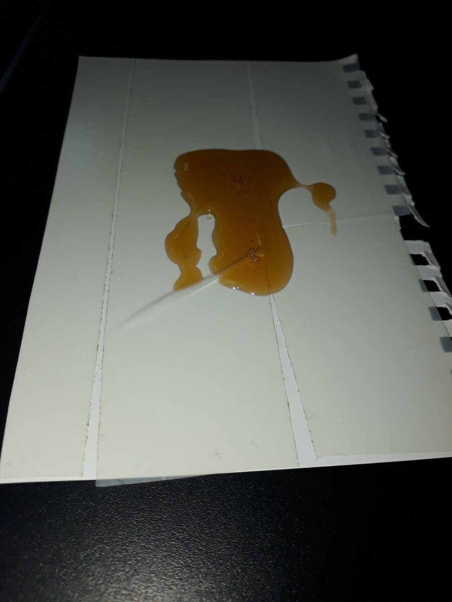 Как думаете, прилипнут тараканьи ножки?