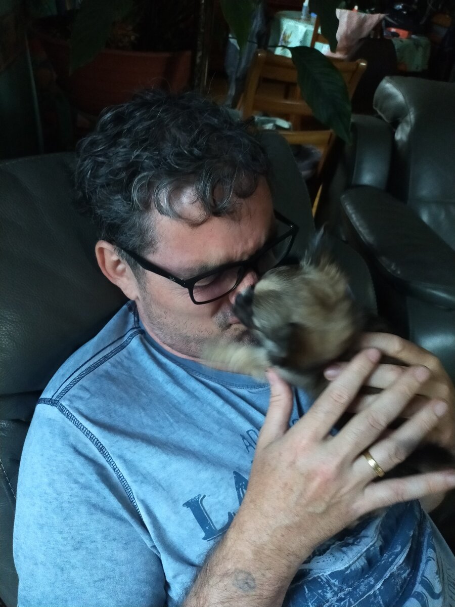 Муж обожает нашу чихушку Люсю Марковну))) А она его)))