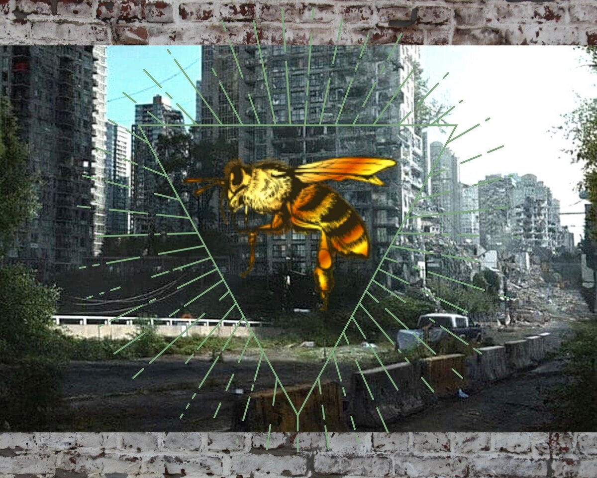 Голод и запустение, а может быть, даже войны... что нам грозит, если пчелы исчезнут?