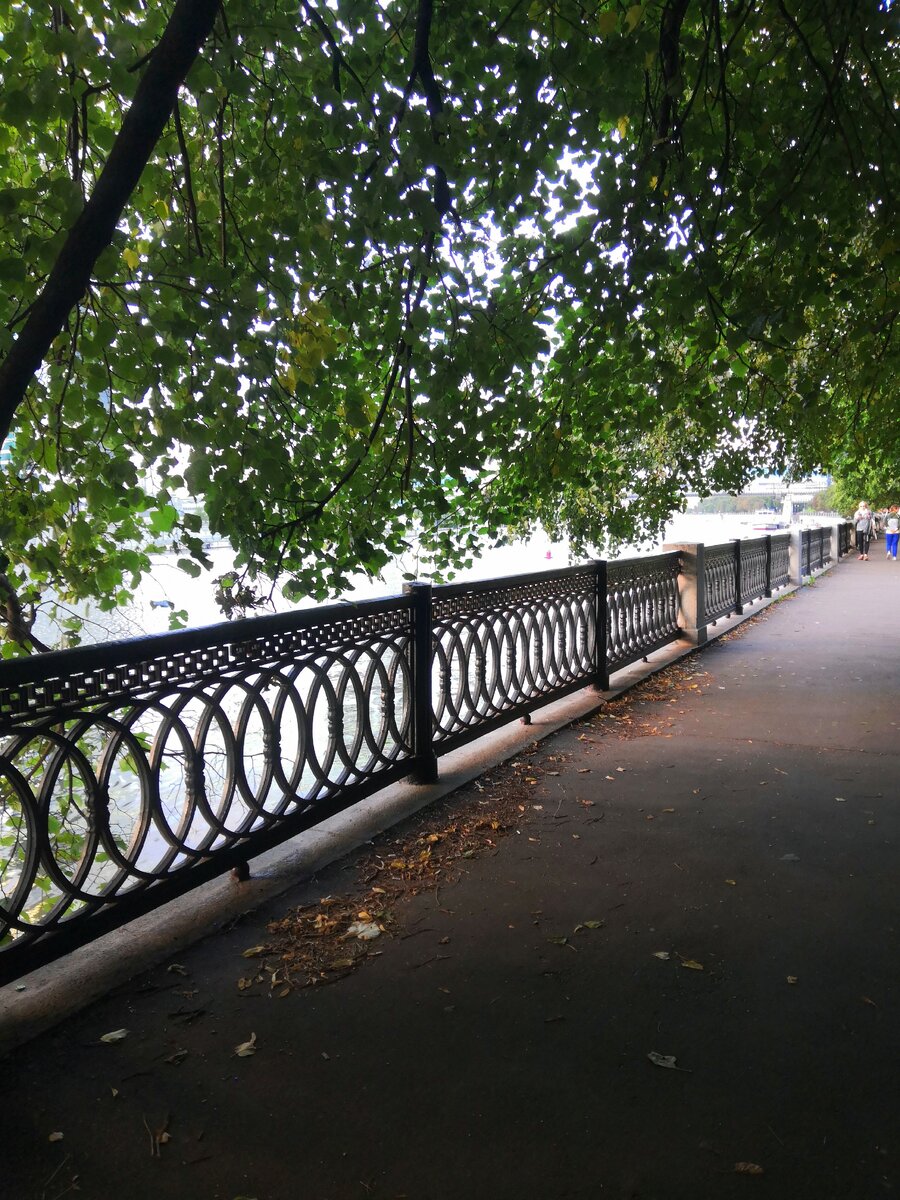 Странные мысли 