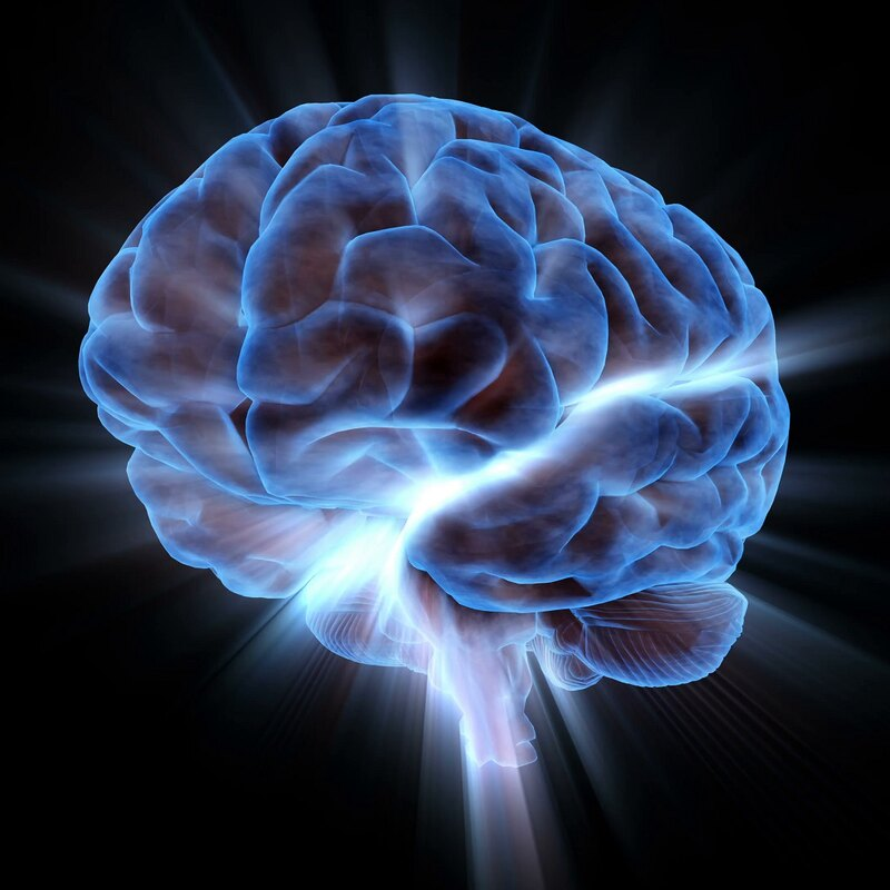 Large brain. Нейробиология. Умный мозг.