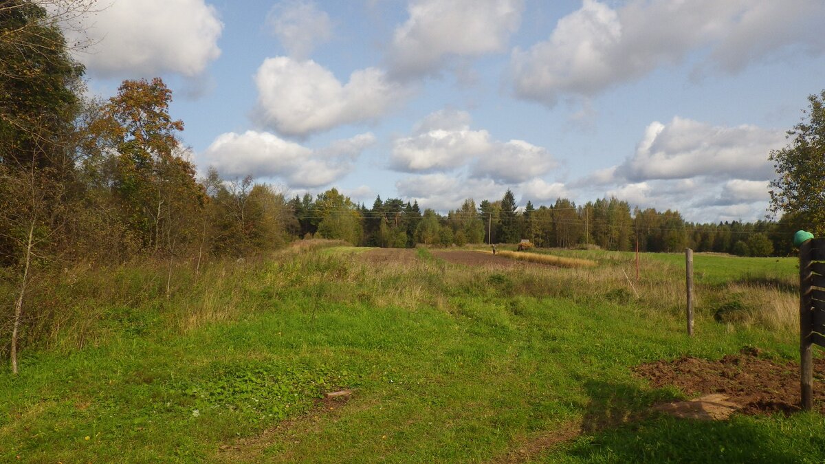 Вид с крылечка на северную границу нашего участка