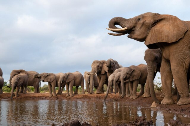 Sergio Pitamitz, Nat Geo Image Collection