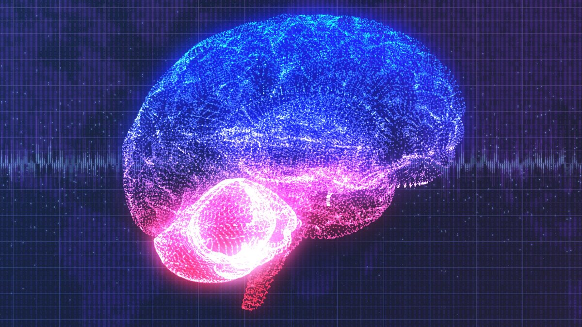 Взято с yandex.ru/images