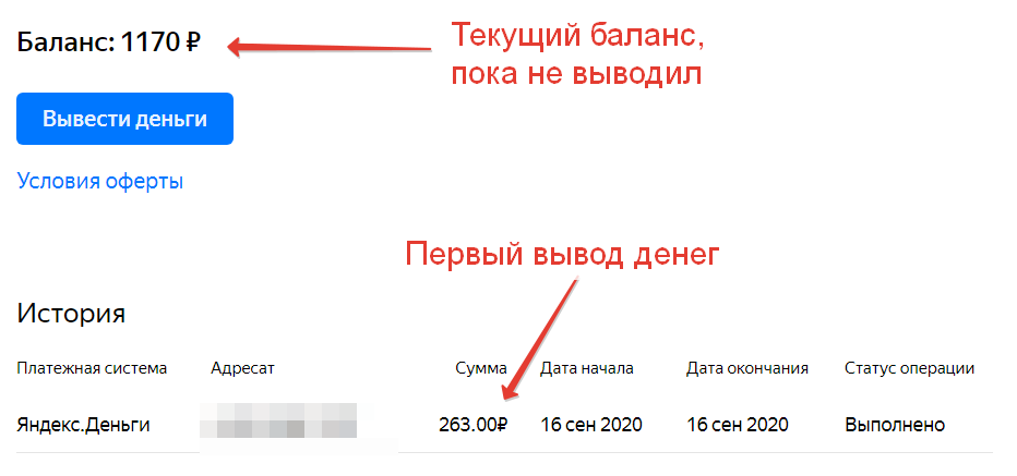 Сколько принес канал на Дзене за первый месяц ведения?