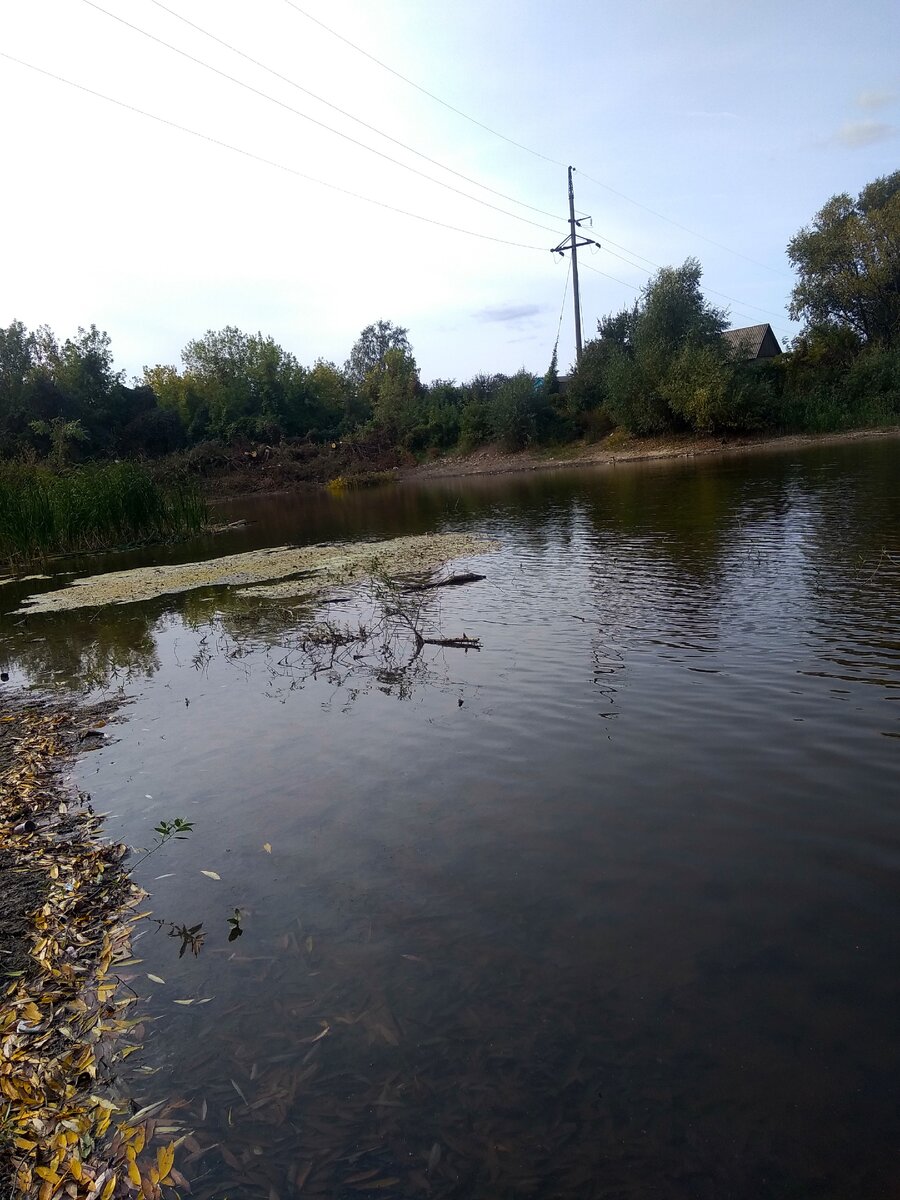 Пересохший пруд!