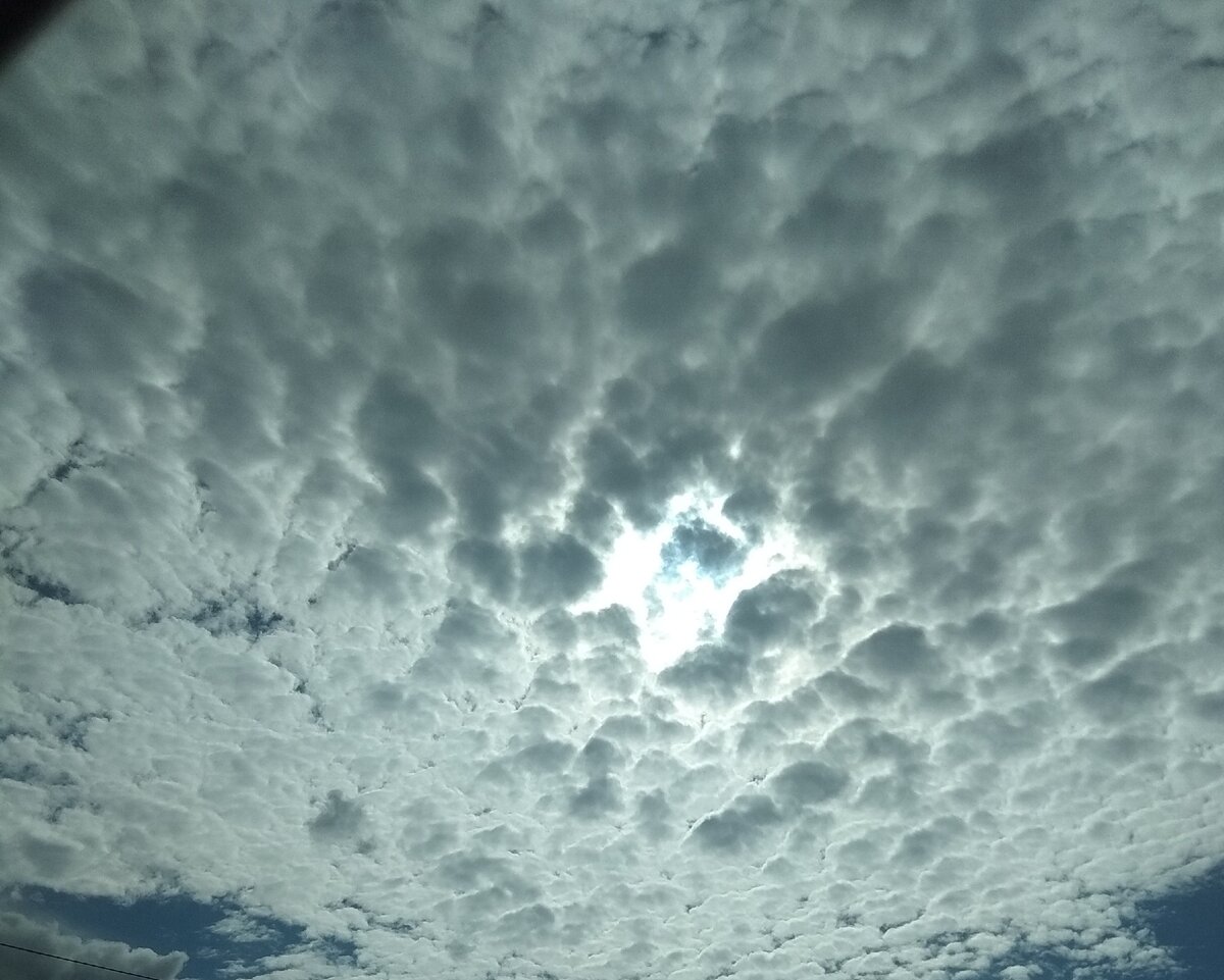 фото автора. Вологодский район.