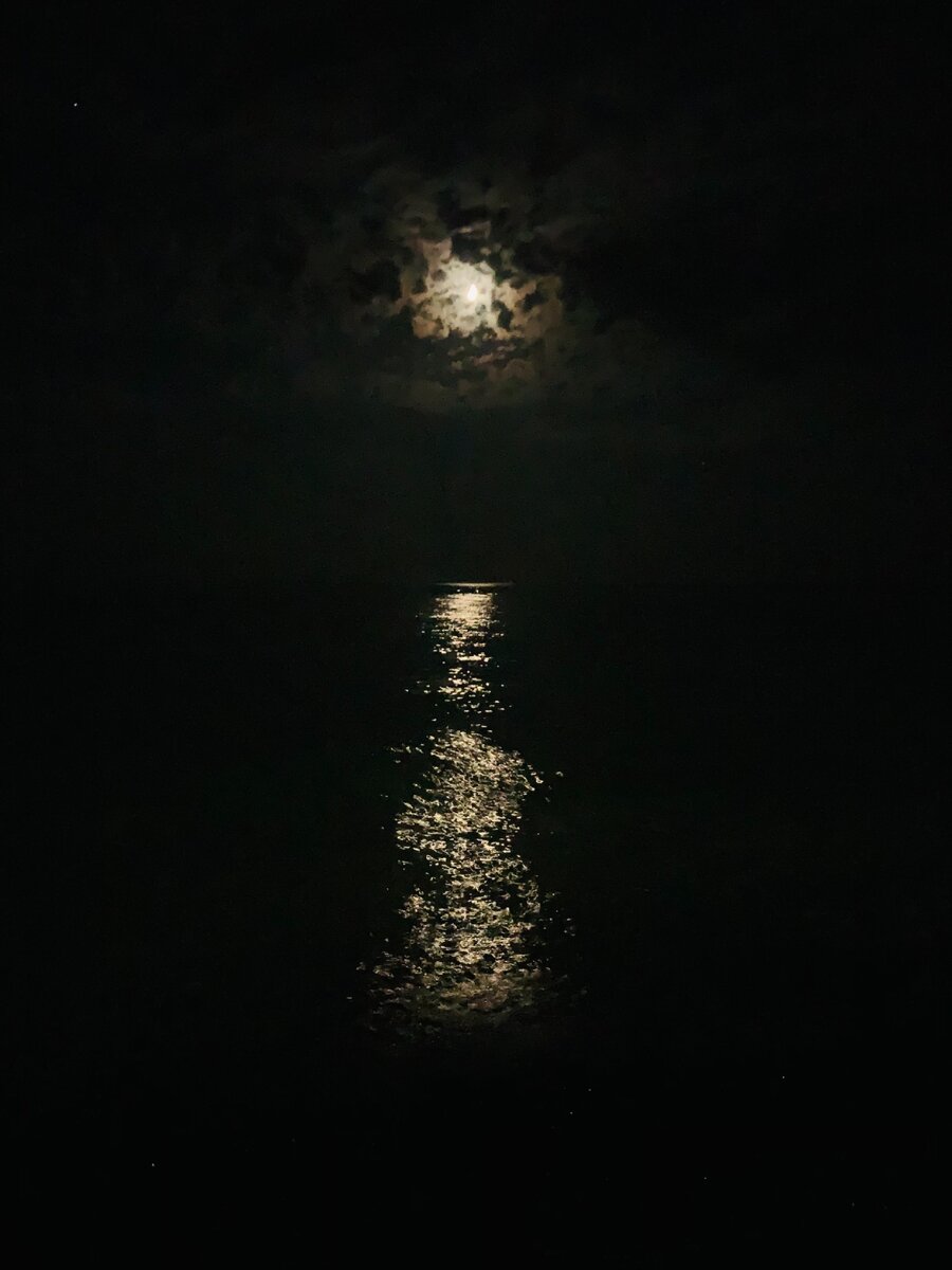 Ночное море