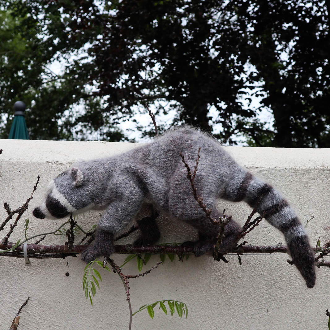  Вязаная спицами игрушка-енот по описанию от дизайнера Claire Garland.  Источник фото https://www.ravelry.com/patterns/library/raccoon-25