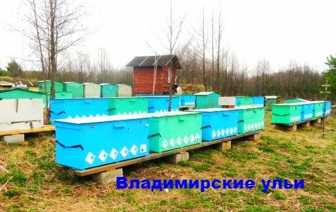 Пасека Андрея Якимова