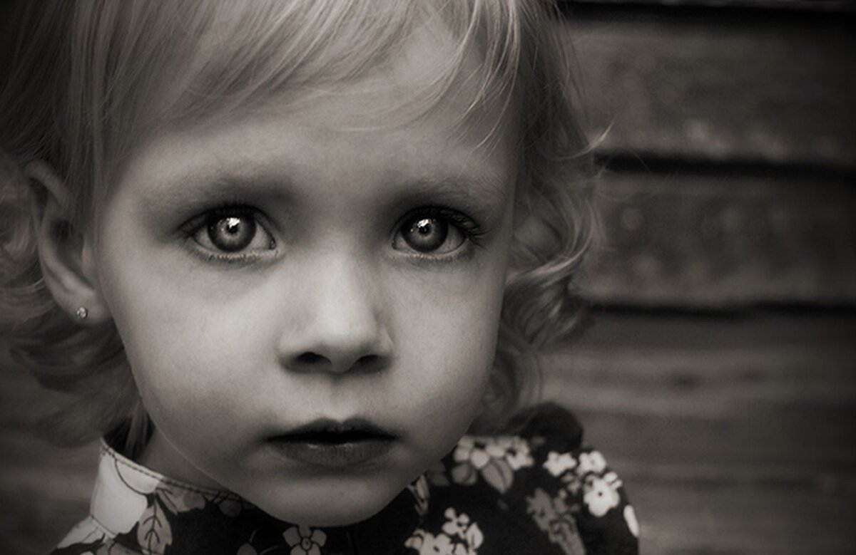 Фото из свободного доступа