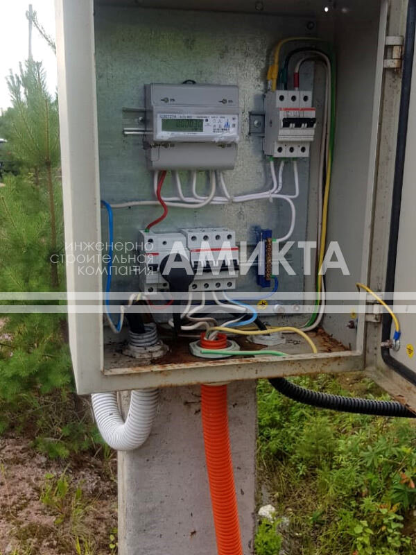 Фото с сайта https://amikta.ru/