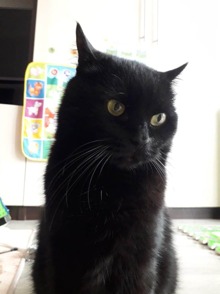 Такой скромняжка 😇