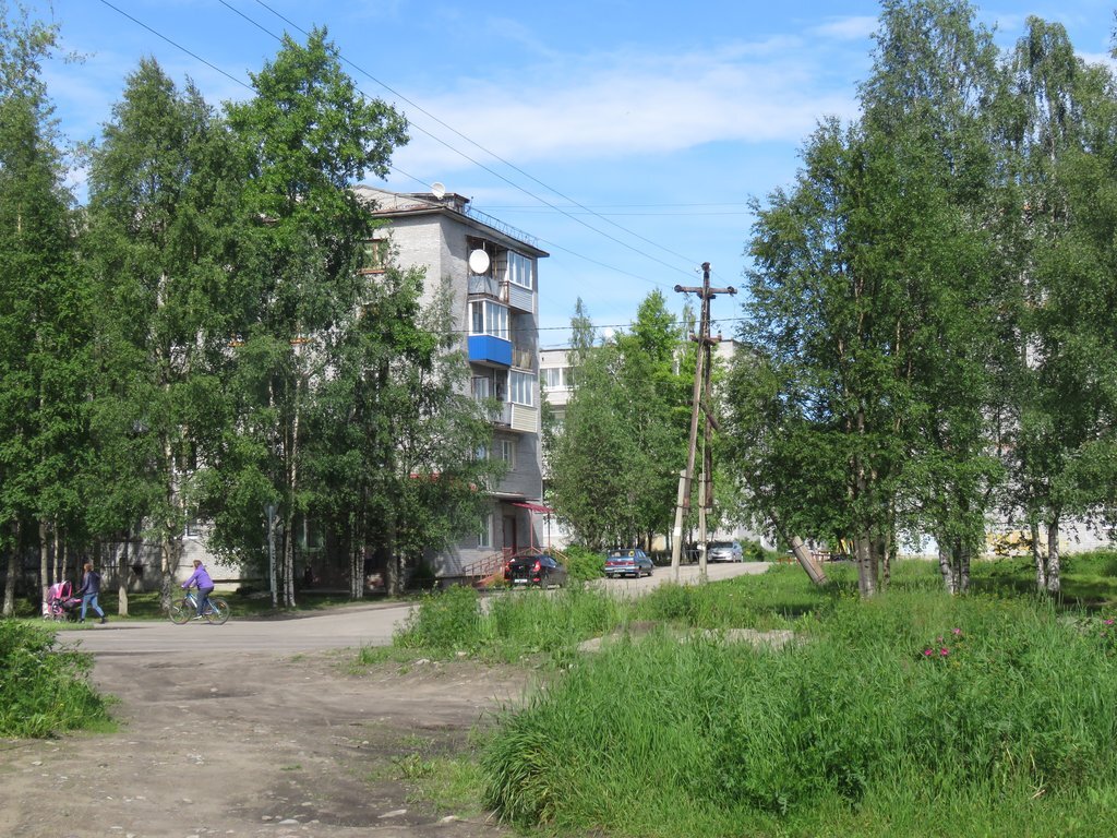 П Лоухи Карелия. Лоухи (посёлок городского типа). Посёлок Лоухи Республика Карелия. Лоухи Петрозаводск.