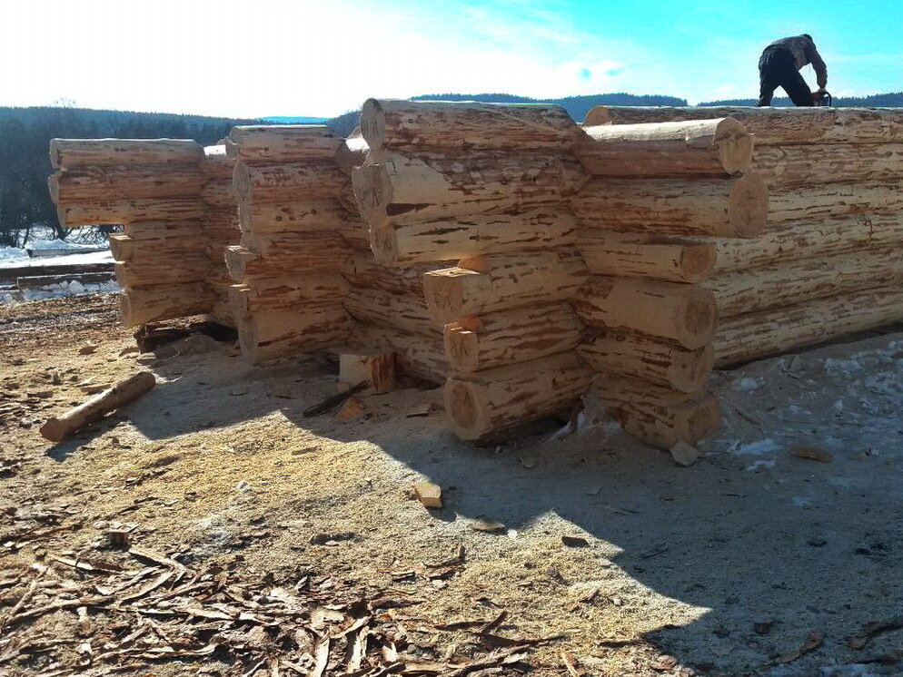 183-й сруб. Наш будет 187-м.