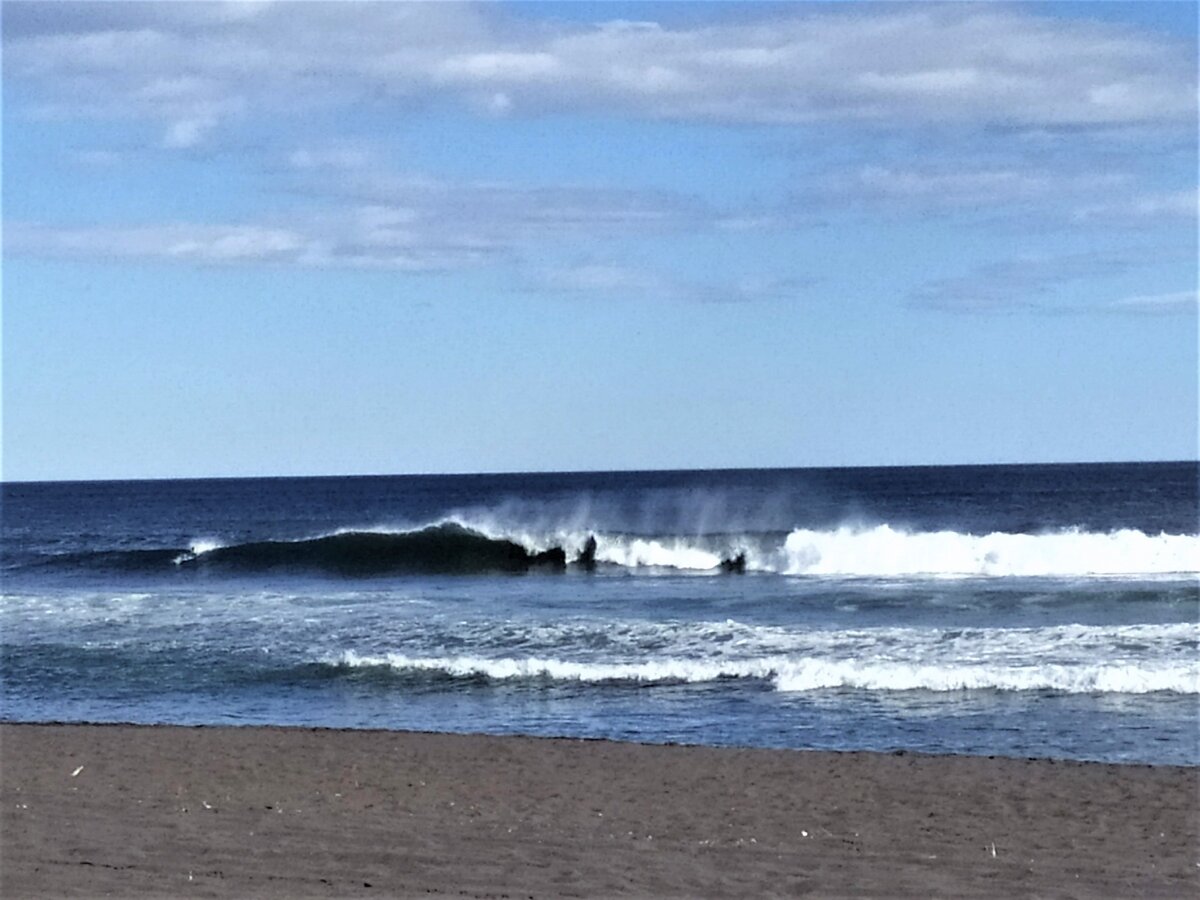 Фото из личного архива. Берег Тихого океана 9 сентября. IMG_20200909_160933