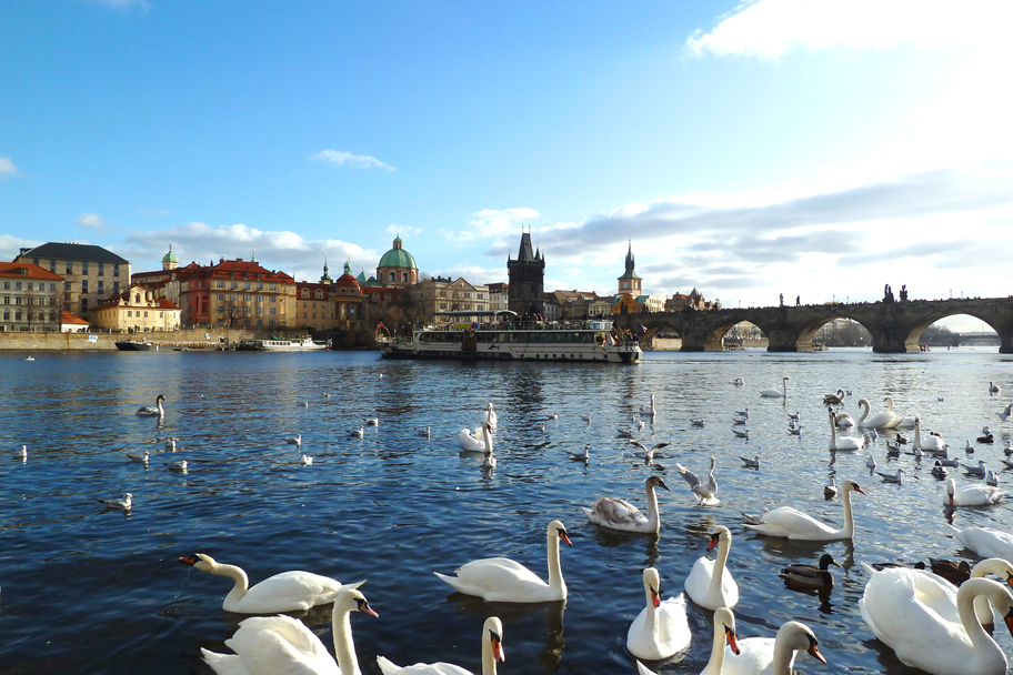 Прага. Январь 2020 г. Фото из личного архива.