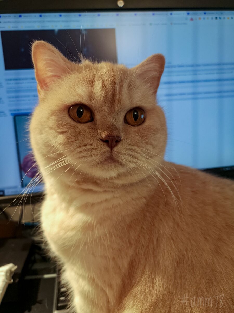 © Александр Максимов 