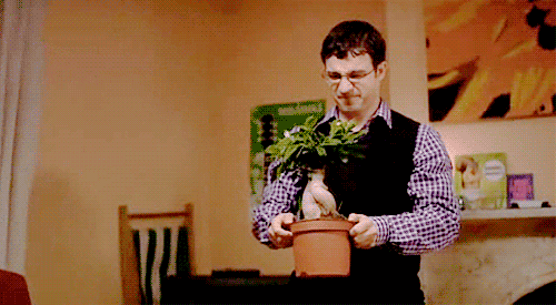 Так и появился чемпионат. 